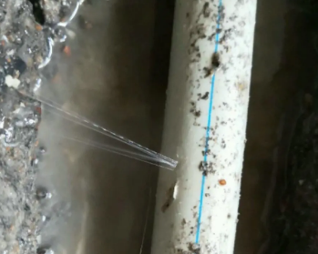 临高卫生间测漏水多少钱