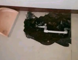 临高卫生间测漏水多少钱